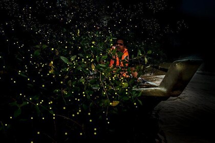 Kuala Selangor Fireflies - Batu Caves Temple- Malawati Hill DayTour With Di...