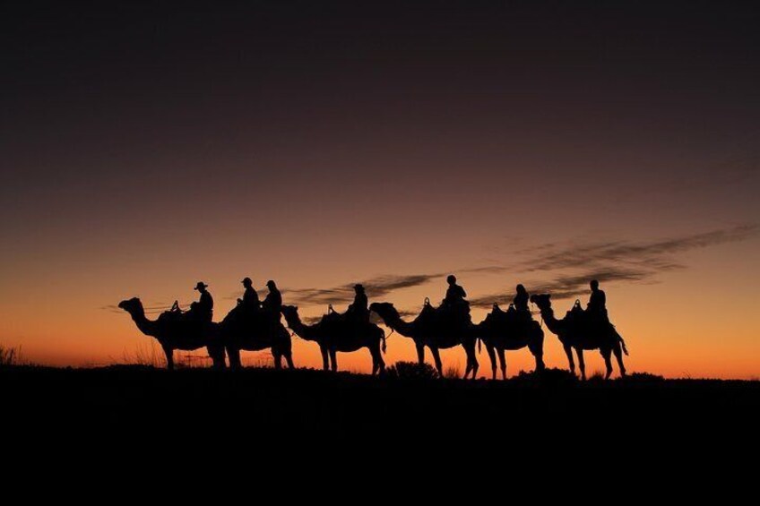 Sunrise Camel Tour