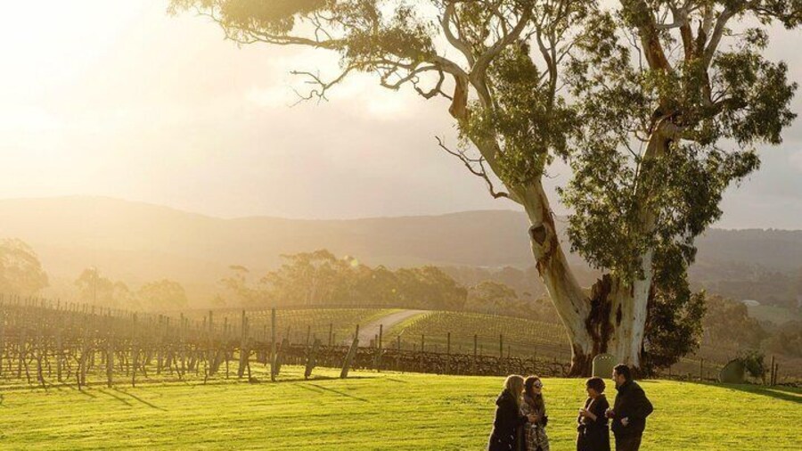 Full-Day Hahndorf and Adelaide Hills Hop-On Hop-Off Tour from Adelaide