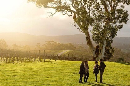 Hop-on, hop-off-wijnmakerijtour Hahndorf en Adelaide Hills vanuit de stad