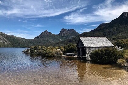 Cradle Mountain Day Tour from Launceston Including Lunch