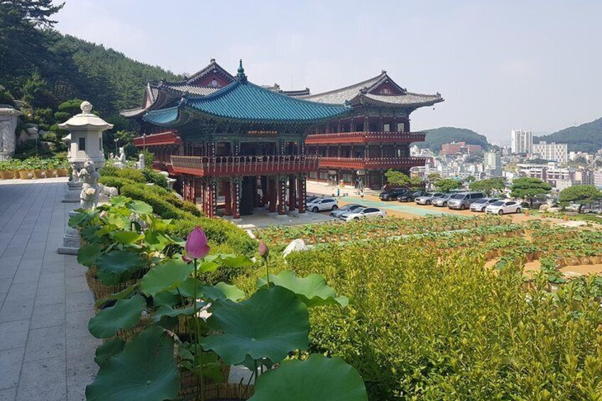 Busan Tour with Gamcheon Culture Village