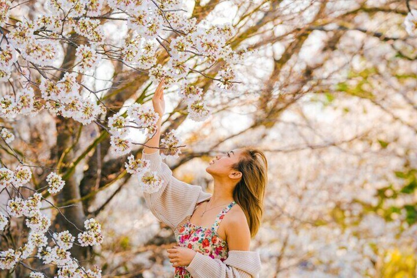 Seasonal(Last week of March)