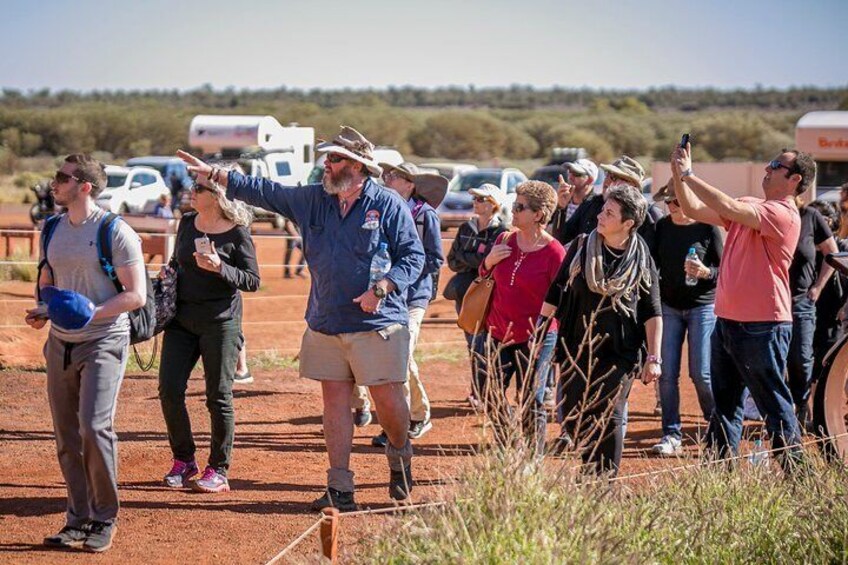 Ayers Rock Day Trip from Alice Springs Including Uluru, Kata Tjuta and Sunset BBQ Dinner