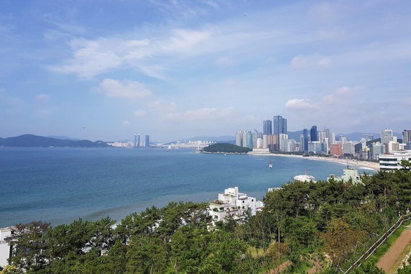 Full-Day Busan Tour Including Haedong Yonggungsa Temple