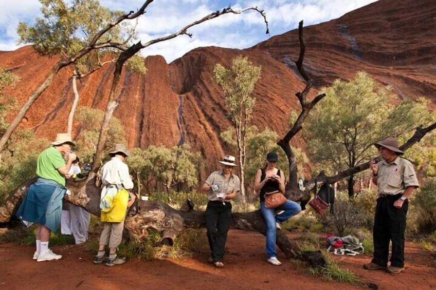 Full Uluru Base Walk at Sunrise Including breakfast