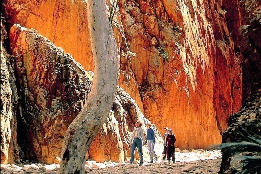 West MacDonnell Ranges Day Trip from Alice Springs