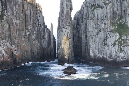 Tasman Island Cruises and Port Arthur Historic Site Day Tour from Hobart