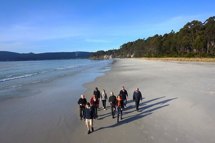 Bruny Island Traveller - Gourmet Tasting and Sightseeing Day Trip from Hobart