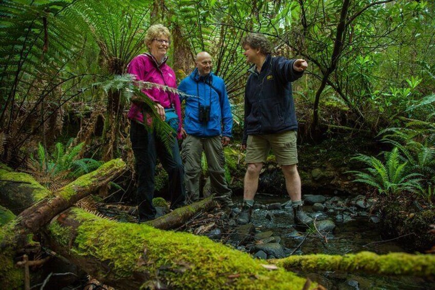 Bruny Island All Inclusive Gourmet Day Trip from Hobart