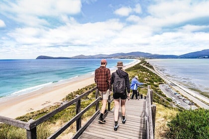Sightseeing- en culinaire tour van Bruny Island vanuit Hobart, inclusief to...