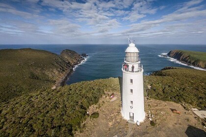 Bruny Island Produce Sightseeing and Exclusive Lighthouse Tour