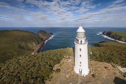Bruny Island Day Tour, Includes Lunch and Exclusive Lighthouse Tour