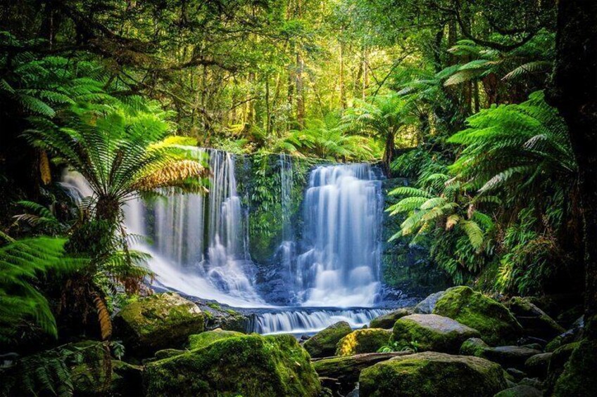 Mt. Field National Park