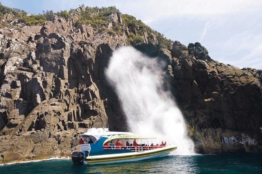 Bruny Island Tour 