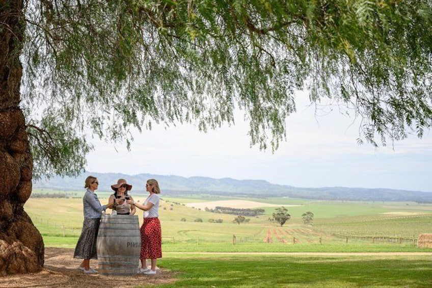 Small-Group Barossa Valley Food and Wine Tour