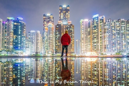 Tour privado de día completo en Busan con guía autorizado