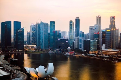 Singapore Like a Local: Customised Private Tour