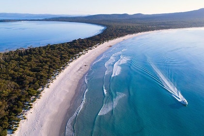 Maria Island Cruise and Guided Walk Day Tour with Lunch and Drinks