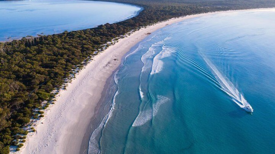 Cruise the remarkable beaches of Maria Island