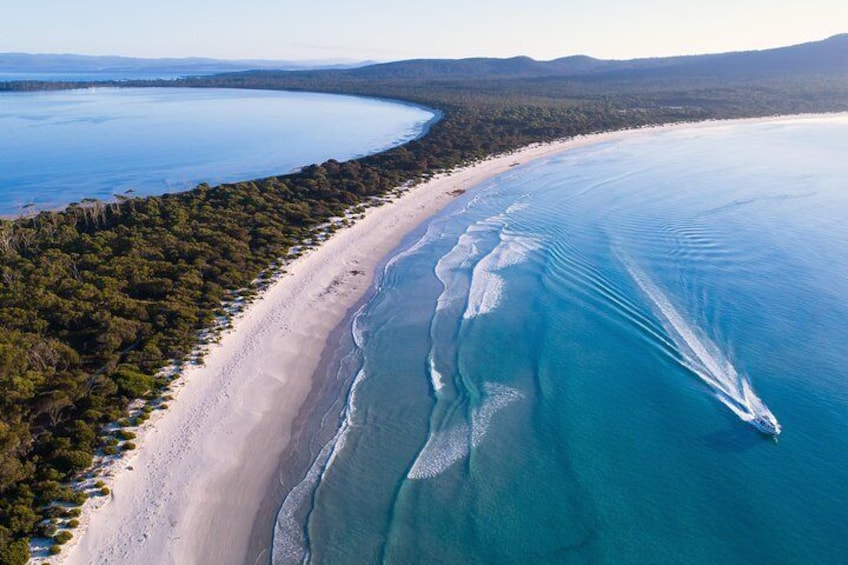 Cruise the remarkable beaches of Maria Island