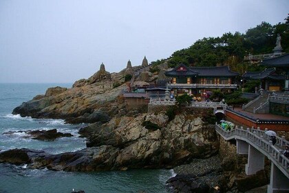 Busan Like a Local: Customised Private Tour