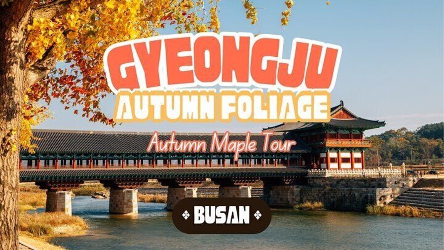 Gyeongju Autumn Foliage Day Tour from Busan with Historic Sites