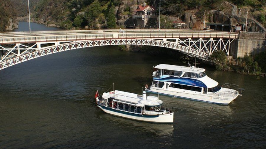 Tamar Odyssey near Cataract Gorge