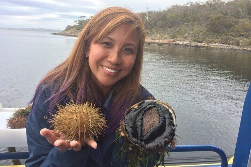 Sea urchin and Black lipped abalone