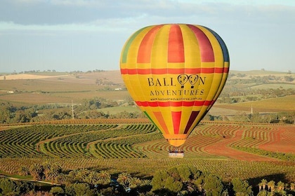 Barossa Valley Hot Air Balloon Ride with Breakfast