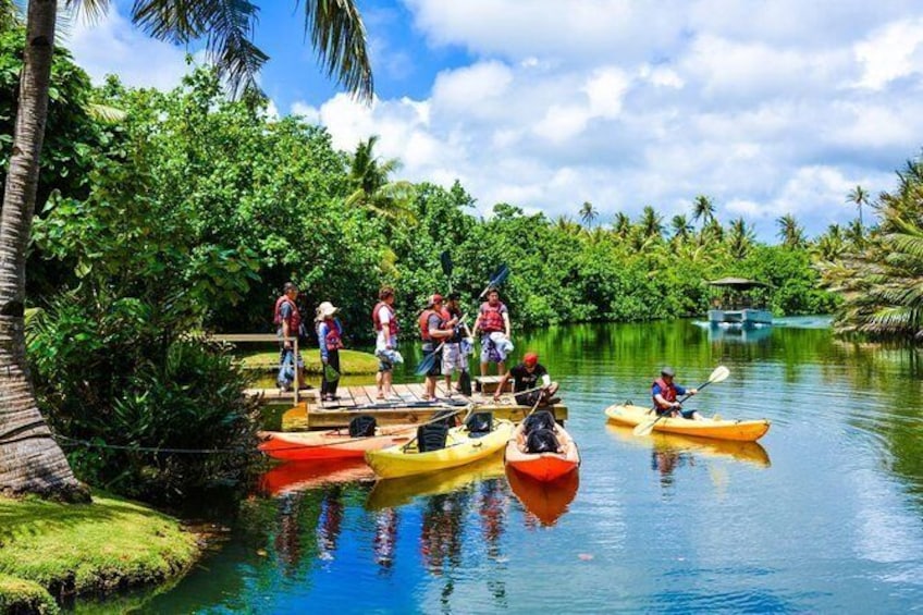 2.5 Hour Small Group Kayaking Adventure with Lunch