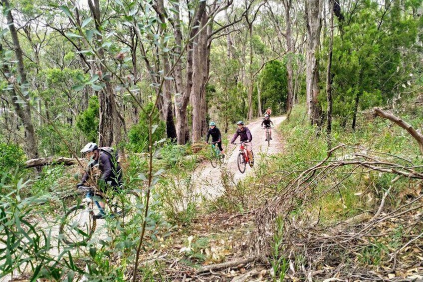 Mount Lofty Descent Bike Tour from Adelaide