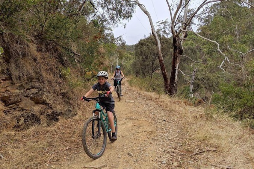 Mount Lofty Descent Bike Tour from Adelaide