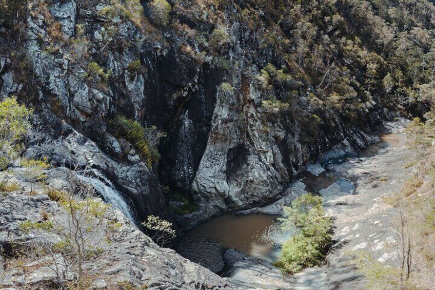 Springbrook andTamborine Rainforest Tour Incl Natural Bridge and Glow Worm Cave