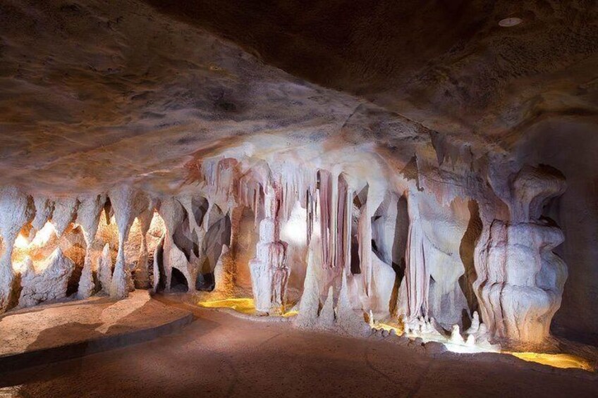 Purpose-Built Glow Worm Caves, Tamborine