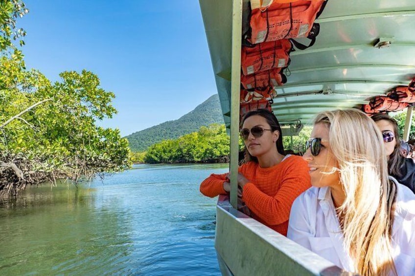 River cruise spotting crocodiles and wildlife in the mangroves