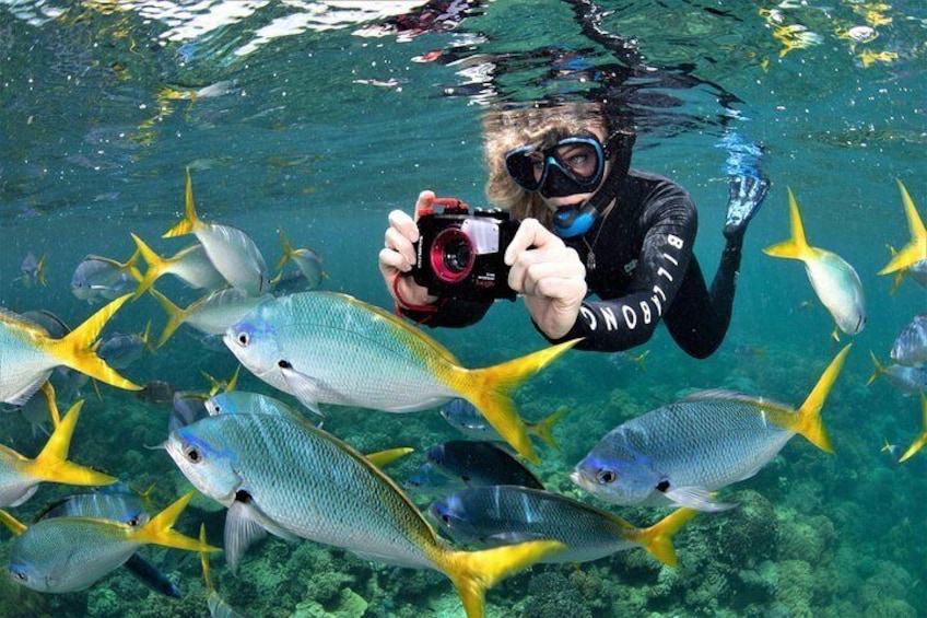 Capture you own amazing mementoes by hiring an underwater camera