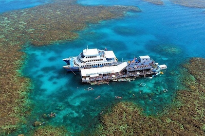 Sunlover Reef Cruises Cairns Great Barrier Reef Experience