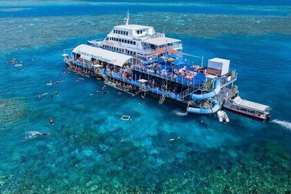 Cruceros Sunlover Reef, Moore Reef Daily Outer Barrier Reef Cruise desde Ca...