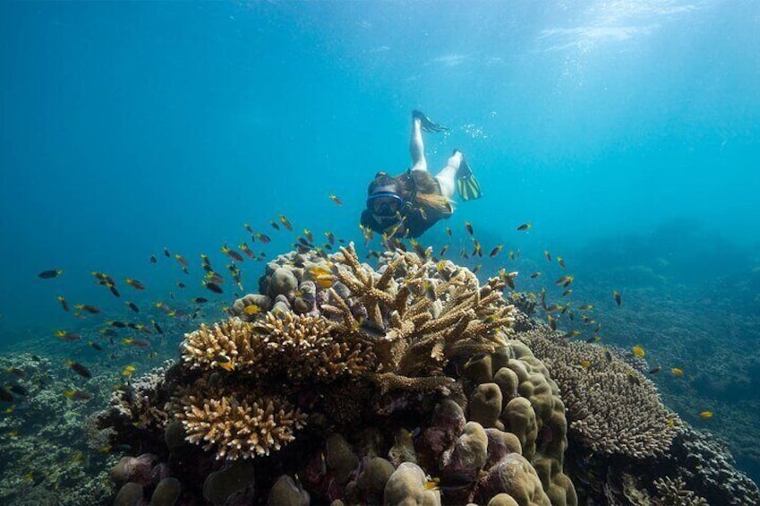 Unlimited beach snorkelling