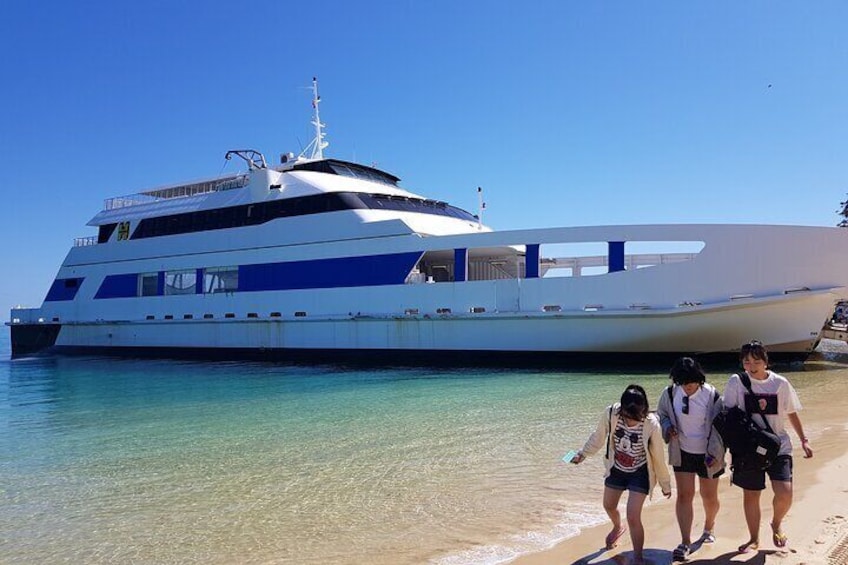 Moreton Island Day Trip (Kayak, Snorkel & Sandboard) frm Brisbane or Gold Coast