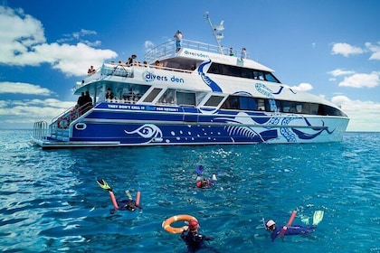 Great Barrier Reef Diving and Snorkelling Cruise from Cairns