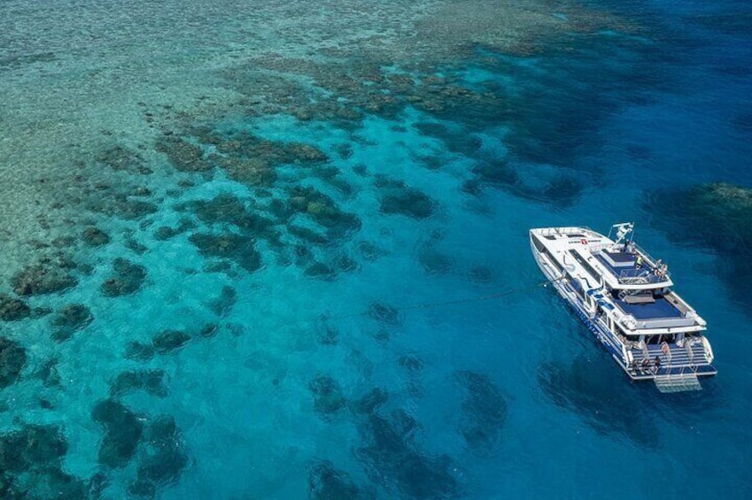 Experience the Great Barrier Reef on a day trip from Cairns