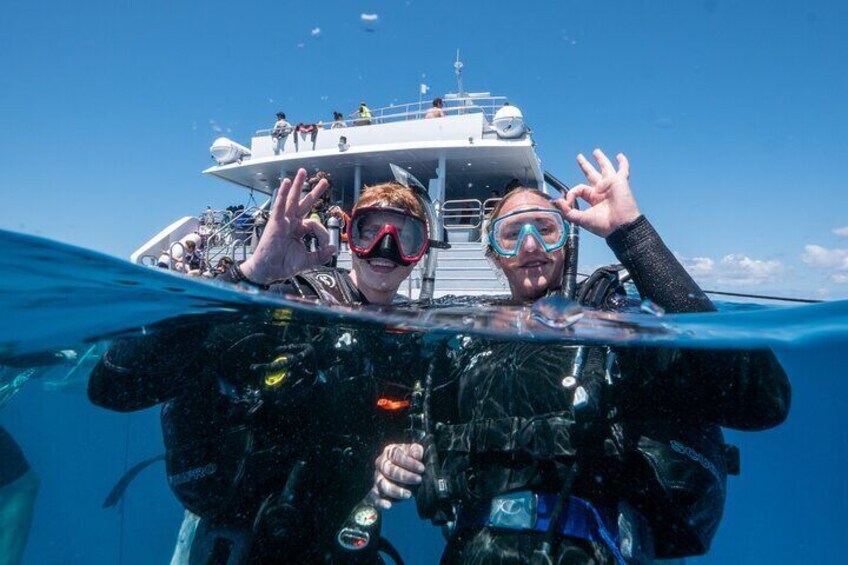 Great Barrier Reef Diving and Snorkeling Cruise from Cairns