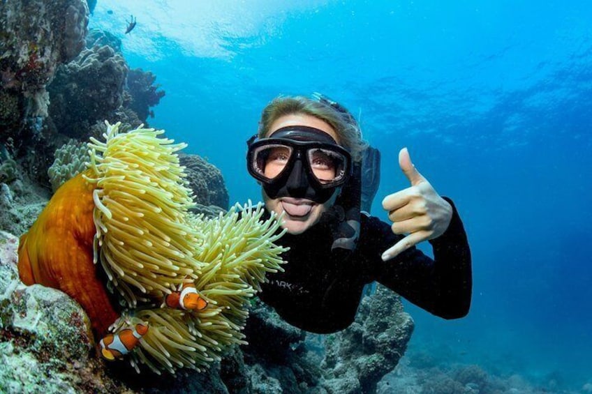 Snorkel with Nemo on the reef