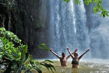 Atherton Tablelands Waterfalls Tour from Cairns