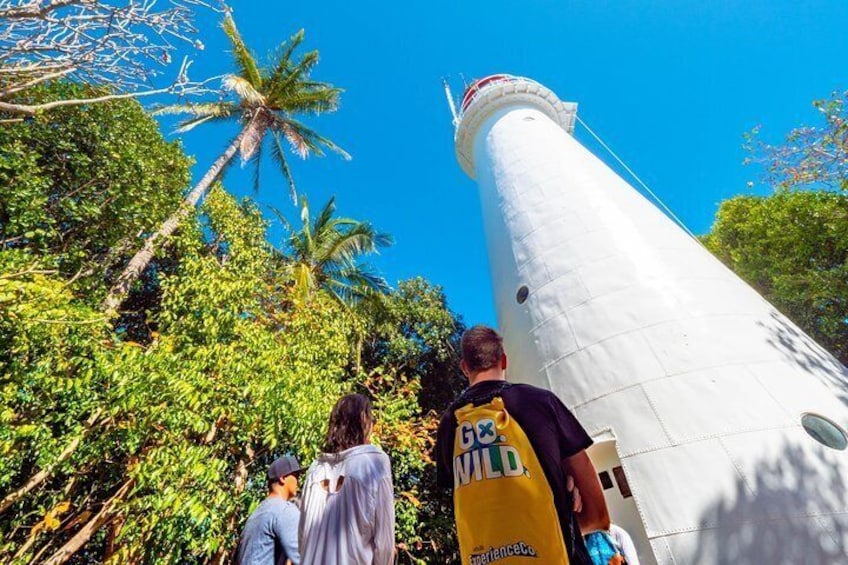 Learn about the history of the island and its Lighthouse