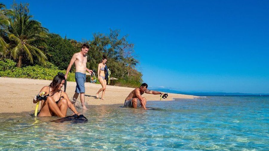 Snorkel from the beach