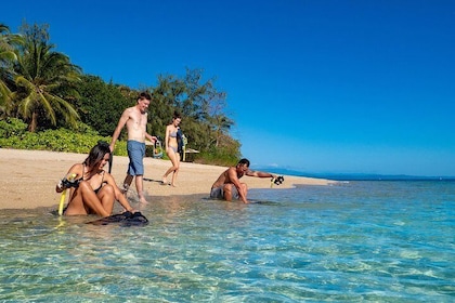 Half Day Low Isles Snorkelling Tour from Port Douglas