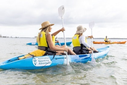 Half Day Dolphin Kayaking and Snorkelling Tour
